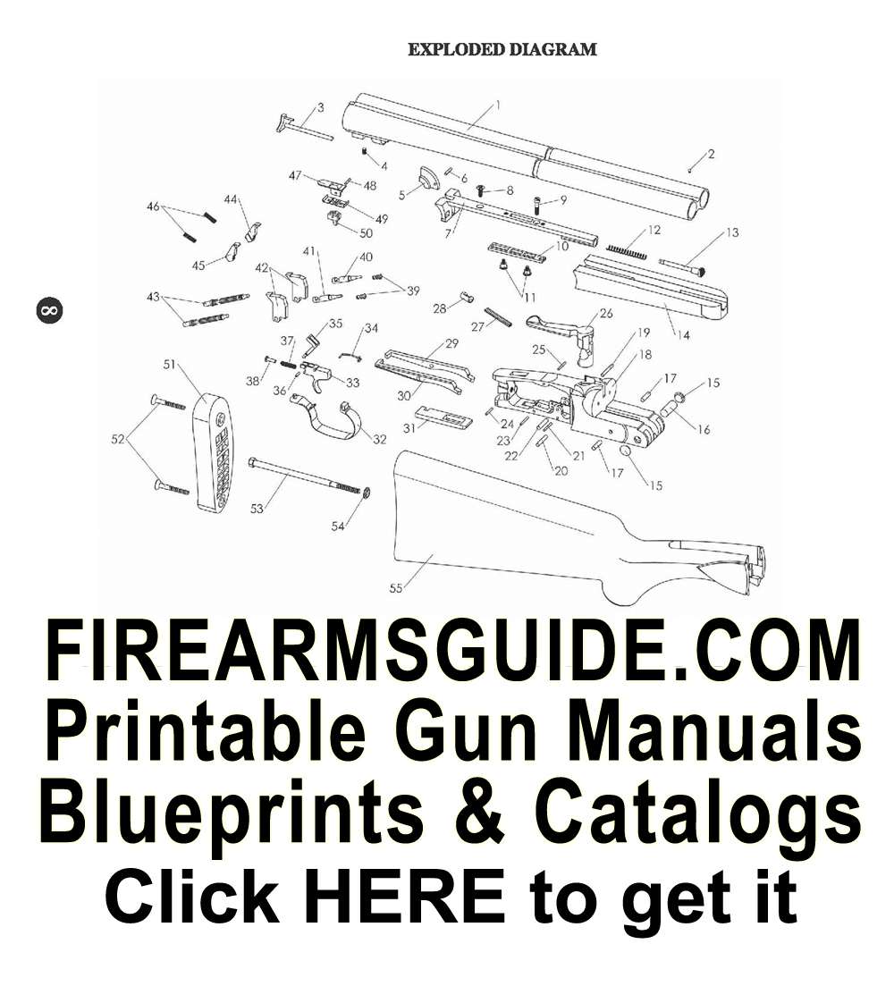 Blunderbuss Instructional Manual - News