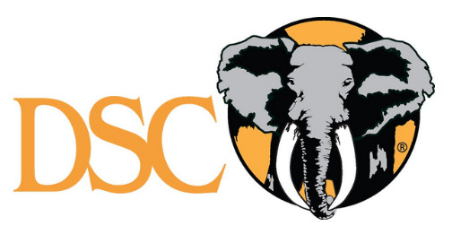 DSC CEO Update