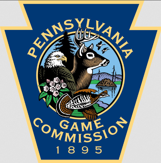 Pennsylvania Game Commission Releases Deer Harvest Estimates