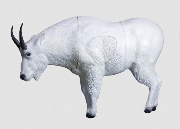 A NEW Real Wild 3D Mountain Goat!