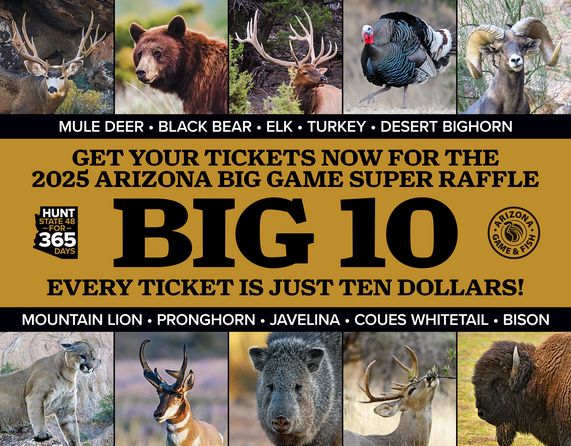Arizona Big Game Super Raffle
